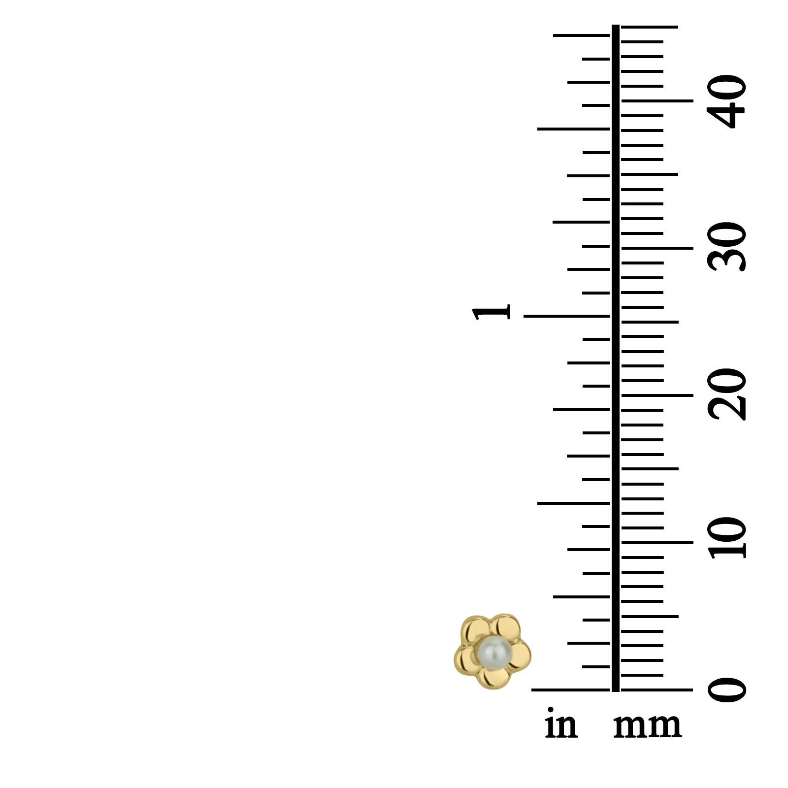 עגילים צמודים מזהב צהוב 14 קראט - פנינה פורחת - Image 5