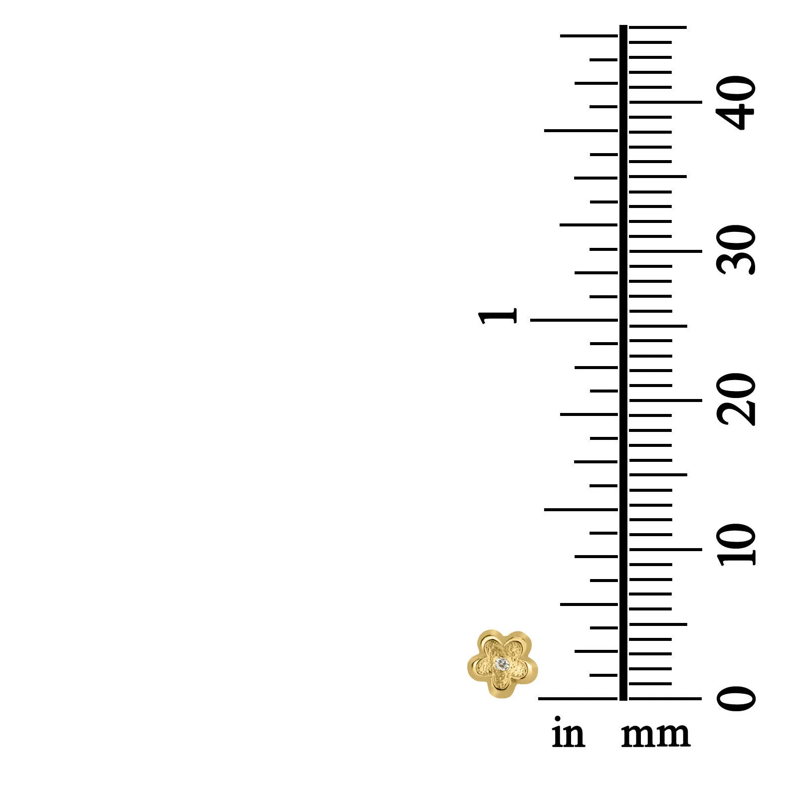 עגילים צמודים מזהב צהוב 14 קראט - פרח ברברה - Image 5